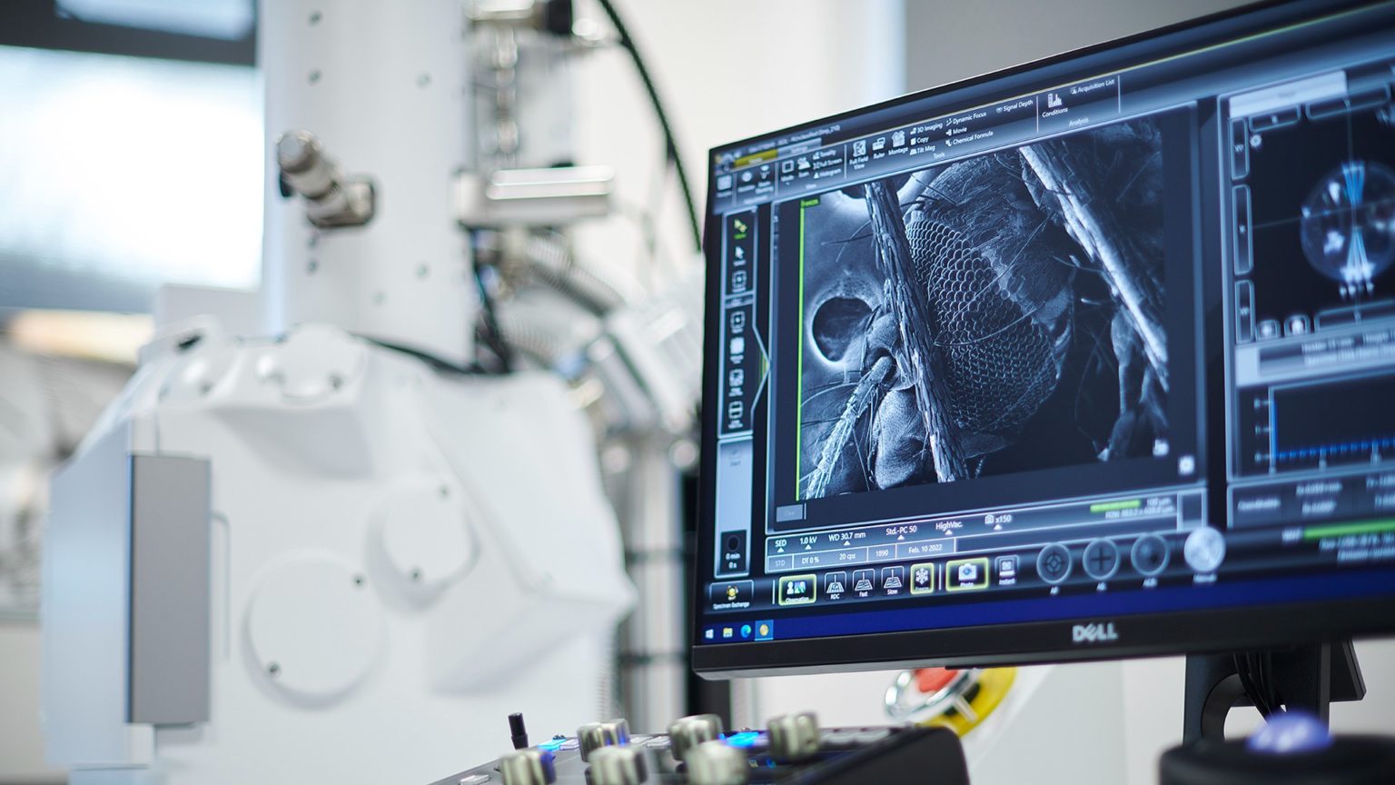 Biology and Biosciences subject image