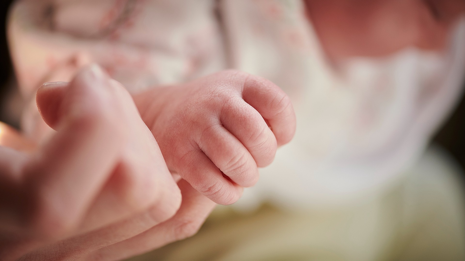 Close-up of a baby's hand being held by an adult hand.